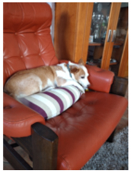 chair